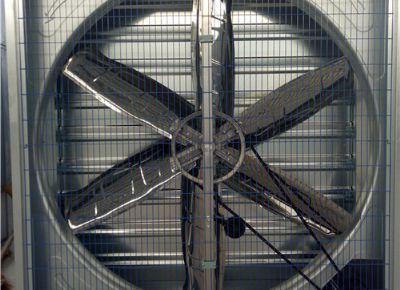 點(diǎn)擊查看詳細(xì)信息<br>標(biāo)題：Heavy Hammer Type Animal Husbandry Fan 閱讀次數(shù)：1598