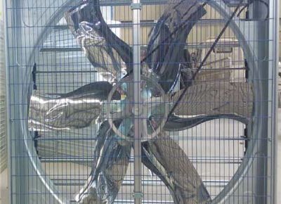 點(diǎn)擊查看詳細(xì)信息<br>標(biāo)題：Push Pull Negative Pressure Fan 閱讀次數(shù)：1486